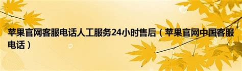 2020年上海市松江区教育局部分科室及直属单位便民服务咨询电话一览表