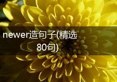 newer造句子(精选80句)