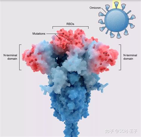 奥密克戎Omicron持续突变引发免疫逃逸和更高传染性_生物器材网