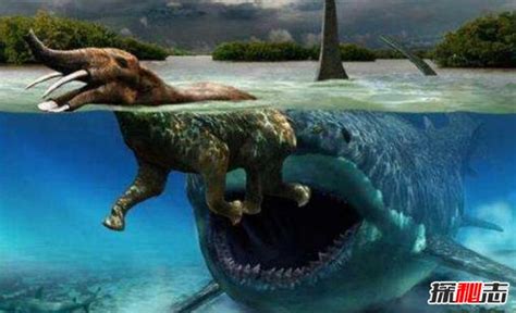 史前海洋顶级掠食者，与巨齿鲨并称为海洋双雄，梅氏利维坦鲸到底有多强大？