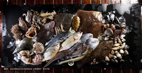 海鲜产品摄影-白虾|摄影|产品|青翌 - 原创作品 - 站酷 (ZCOOL)