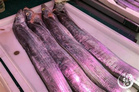 海识 | 深海鱼和浅海鱼有什么区别？为什么我们吃的深海鱼多是冻品形式？