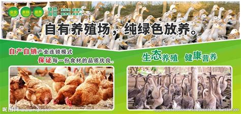 智慧农业：智慧畜牧养殖系统解决方案 - 行业新闻 - 北京东方迈德科技有限公司