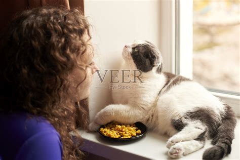 那个女人把猫粮放在盘子里。照片摄影图片_ID:354228734-Veer图库