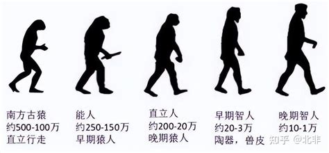 从非洲古猿到现代智人，带你看懂人类进化史，未来又会如何进化？