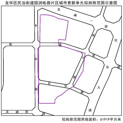 深圳龙华新区大浪街道新围新村综合整治概念规划 - 深圳市蕾奥规划设计咨询股份有限公司