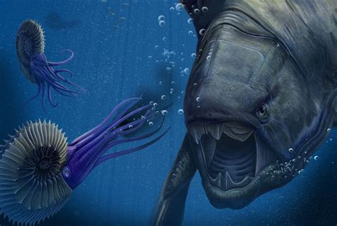 美国科学家深海找寻现存最古老生物 - 海洋财富网