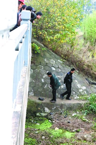 武大女学生返校途中失踪 两天后遗体在桥洞发现_武汉_新闻中心_长江网_cjn.cn