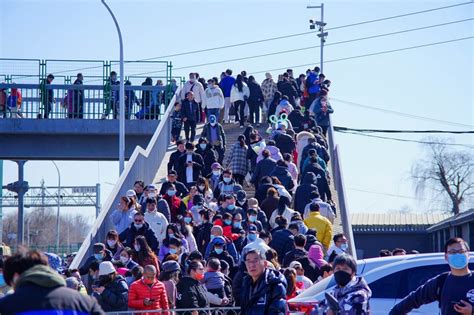 北京沙河大集的时间和地点_旅泊网