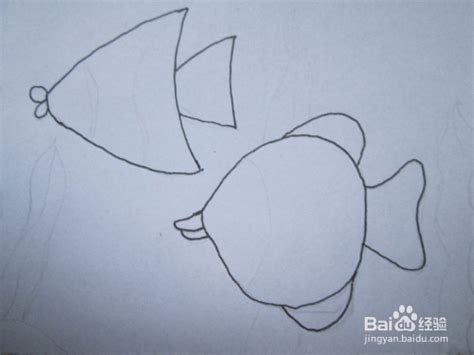 黑白线描画《美丽的鱼儿》的作画步骤-百度经验