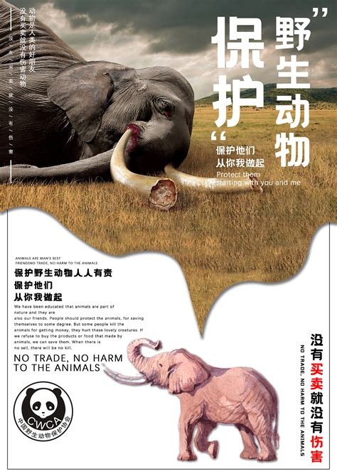 保护动物海报设计图__广告设计_广告设计_设计图库_昵图网nipic.com