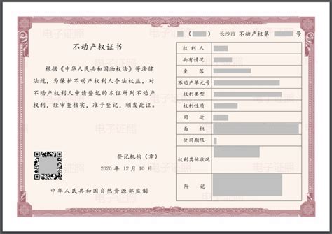 湖南省企业登记全程电子化业务系统 - 随意云