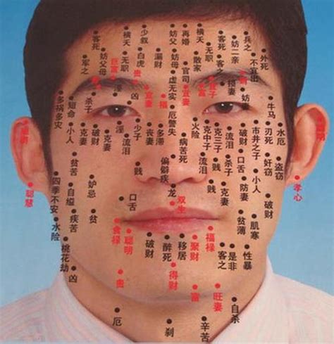 脸部痣相图解大全图片 脸部痣相图解大全图片