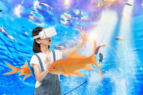 VR 遨游海底世界（海洋保护）