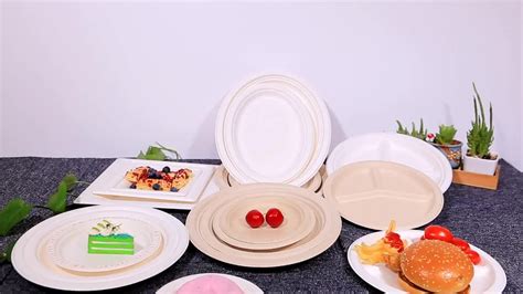 商吉 可降解环保餐具一次性餐盒纸浆碗饭盒沙拉外卖打包盒批发-阿里巴巴