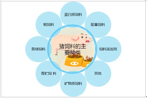 2019年中国饲料行业竞争格局与发展趋势分析，生物饲料是未来发展方向「图」_趋势频道-华经情报网