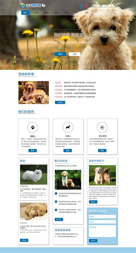 宠物网页|网页|企业官网|啾啾123 - 原创作品 - 站酷 (ZCOOL)
