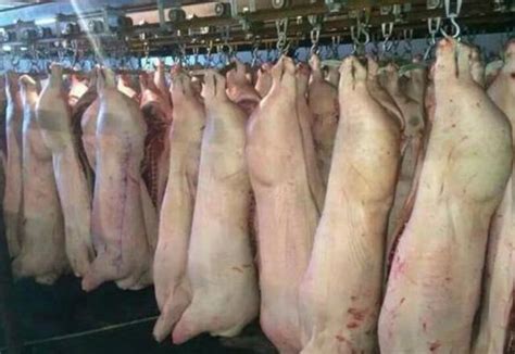 猪肉价涨涨涨 生猪期货却表现低迷 预示着什么_新选择网