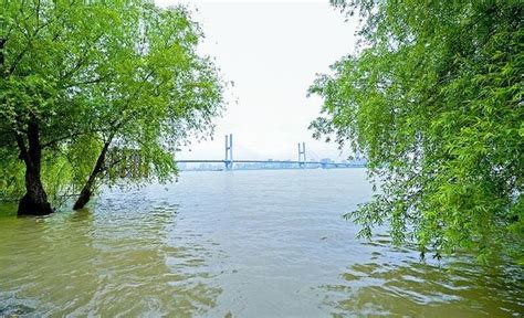 武汉遭遇特大暴雨洪涝灾害 或与梅雨期有关_特推_首页_天之水网