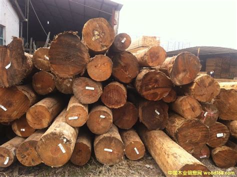 美国南方松原木，南方松板材-上海冠木国际贸易有限公司