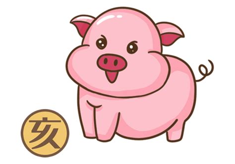 属猪人2024年全年运势运程 属猪的人2024龙年运程_生肖_吉运堂算命网