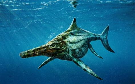 史前十六大海洋巨兽，他们才是真正的海怪！