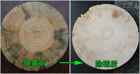 木材产品发霉了怎么处理？-绿泰环保科技产品官网
