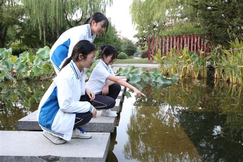 校园生态池带给同学们无穷的乐趣和回忆-顶新公益基金会