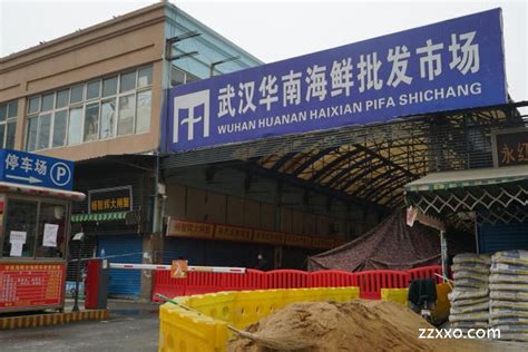 武汉华南海鲜批发市场，很多人感染了病毒。|ZZXXO