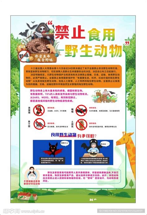 保护简约禁止食用野生动物海报设计图片下载_psd格式素材_熊猫办公