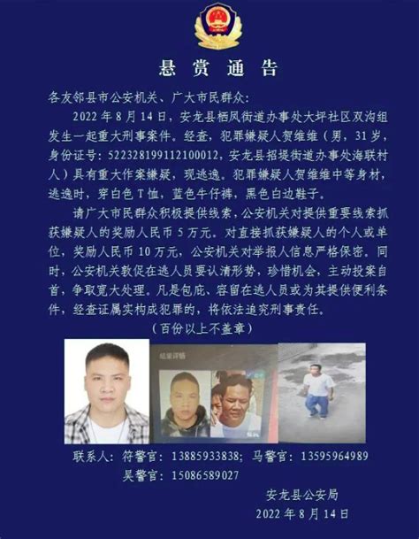 突发！贵州发生重大刑事案件，31岁嫌犯逃逸12小时后畏罪自杀 - 世相 - 新湖南