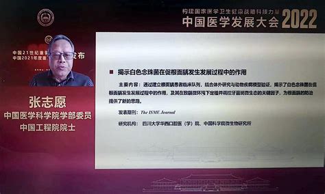 四川大学教授杨鑫松应邀来校作专题讲座-电气与信息工程学院
