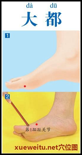 太冲穴在大脚趾和第二脚趾间缝隙向上图片_有来医生