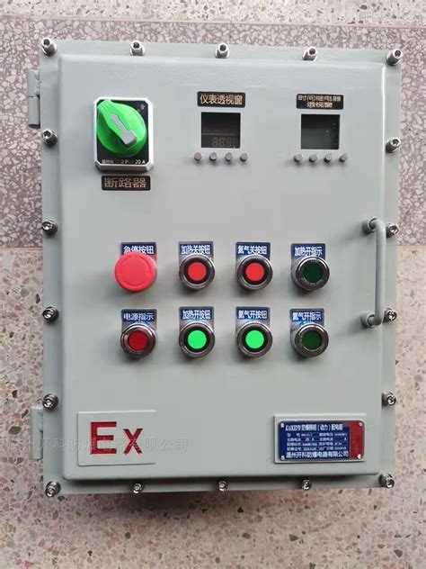 BXM（D） 防爆电加热防爆仪表箱-化工仪器网