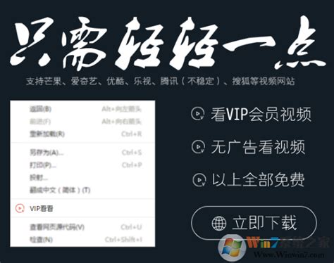 VIP看看下载-VIP看看(全网VIP视频解析工具) 绿色免费版下载-Win7系统之家