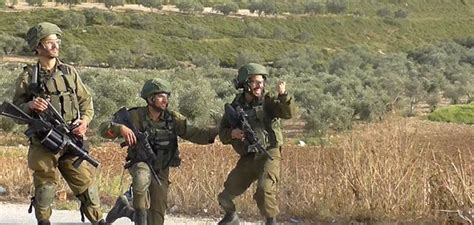 加沙北部，以色列军队正用推土机推平巴勒斯坦人的房屋……|以色列|推土机_新浪新闻