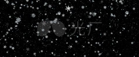 下雪白天雪松野外下雪摄影图配图高清摄影大图-千库网