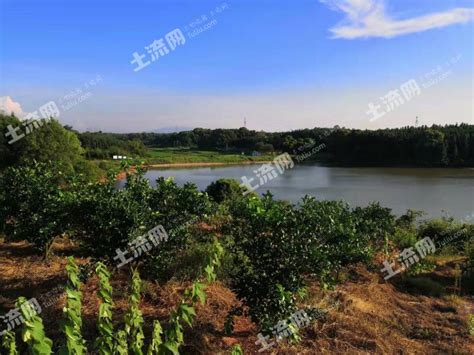 宜丰县：实施土地开发项目新增耕地530亩 - 宜春市自然资源局网站
