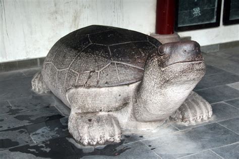 寺庙前趴在地上的石龟动物雕像高清图片下载_红动中国
