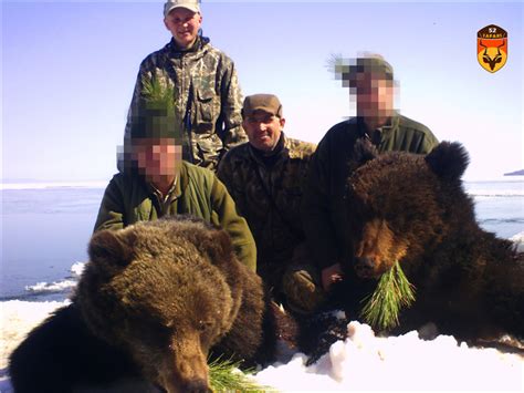 俄罗斯贝加尔湖棕熊狩猎团 - 区域分类—我爱狩猎俱乐部 - 我爱狩猎俱乐部