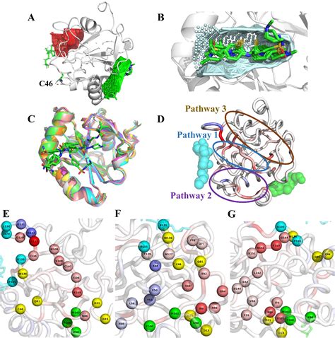 蛋白质的二级结构、超二级结构与模体（motif） - 知乎