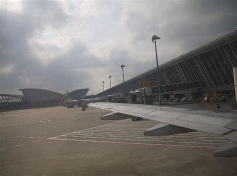 上海浦东国际机场T1航站楼（航站楼）_摘编百科