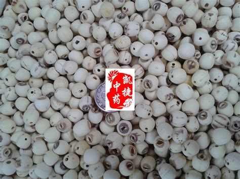 太空莲36号红花莲产量高莲子甜度高颗粒饱满亩产8000个莲蓬-阿里巴巴
