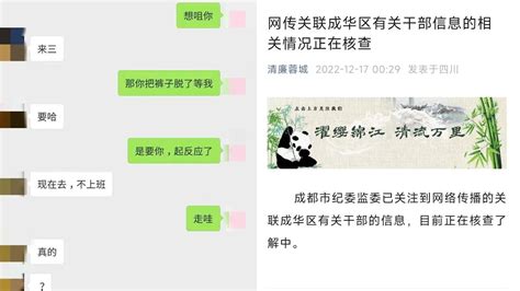 成都官方回应网传男女副区长不雅聊天曝光：正在核查了解中_腾讯视频
