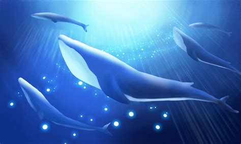 蓝鲸是如何从小不点变成巨无霸的？揭秘鲸鱼的前世与今生