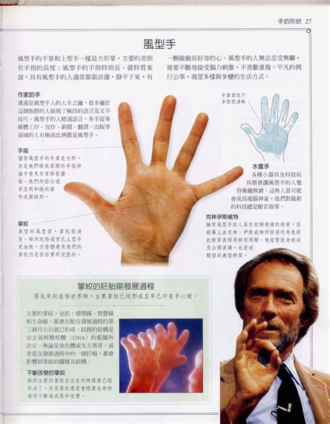 掌纹分享#测一测你是哪种手型（掌纹分析有科学依据吗）