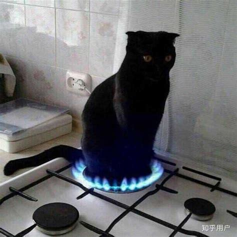 黑猫非主流头像