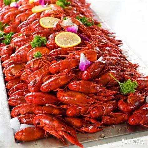 虾皇龙虾🦞一生必吃的小龙虾