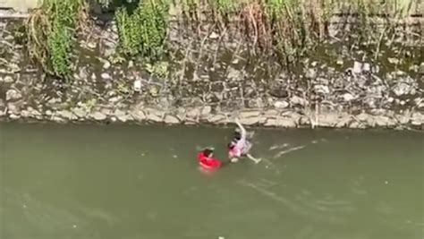女童落水河中漂浮十几米，两小伙从数米高堤坝跳下救人_凤凰网视频_凤凰网