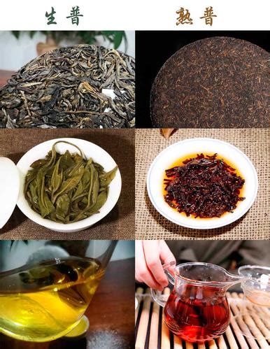 一篇文章读懂普洱熟茶与广西六堡茶的真实区别 - 知乎